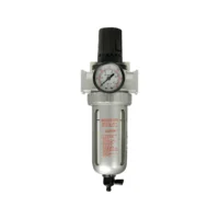 fmt3079
